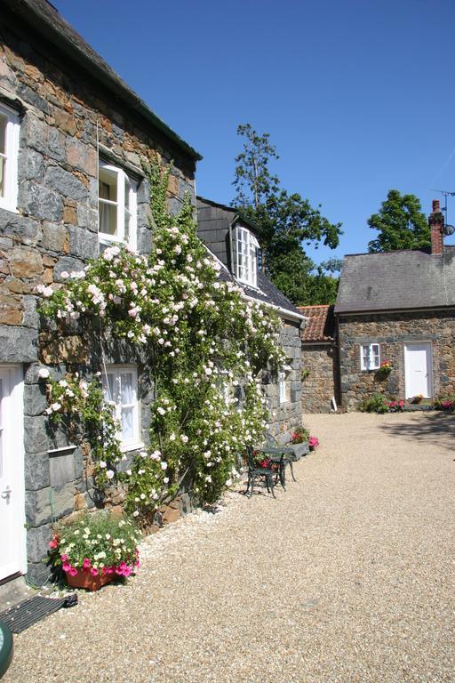 セント・マーチン / シント・マールテン Le Douit Farm Self Cateringヴィラ エクステリア 写真